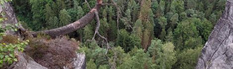Foto: Hp. Mayr Ausblicke wie dieser über den Nationalpark bietet ein Rundgang über die Brücken und Stiegen in der Felsenburg Neurathen nahe der Bastei