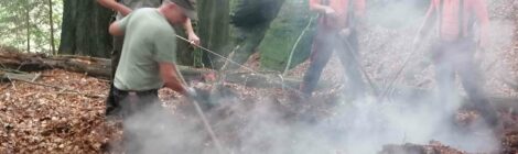 71 23 Illegale Feuerstelle gelöscht