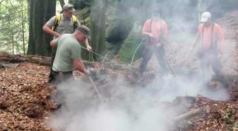 71 23 Illegale Feuerstelle gelöscht