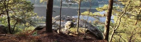 Foto: F. Kowalzik Bei diesen Bildern werden unliebsame Erinnerungen an den Waldbrand von 2018 in der Nähe der Bastei wach: 400 Feuerwehrleute brauchten damals 4 Tage um das Feuer zu löschen. Ein Übergreifen auf die Gebäude von Kurort Rathen drohte. Dieses aktuelle Lagerfeuer wurde rechtzeitig der Polizei und Feuerwehr gemeldet und konnte gelöscht werden. Die Reste des Löschschaums waren noch man nächsten Morgen bei der Nachkontrolle der Feuerstelle durch die Nationalparkwacht zu sehen. Gegen die Verursacher wurde ein Ordnungswidrigkeitsverfahren eingeleitet.