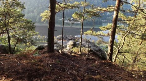 Foto: F. Kowalzik Bei diesen Bildern werden unliebsame Erinnerungen an den Waldbrand von 2018 in der Nähe der Bastei wach: 400 Feuerwehrleute brauchten damals 4 Tage um das Feuer zu löschen. Ein Übergreifen auf die Gebäude von Kurort Rathen drohte. Dieses aktuelle Lagerfeuer wurde rechtzeitig der Polizei und Feuerwehr gemeldet und konnte gelöscht werden. Die Reste des Löschschaums waren noch man nächsten Morgen bei der Nachkontrolle der Feuerstelle durch die Nationalparkwacht zu sehen. Gegen die Verursacher wurde ein Ordnungswidrigkeitsverfahren eingeleitet.