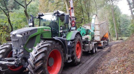 Foto: F. Wagner Zur Verbesserung des vorbeugenden Waldbrandschutzes wird nach der Fällung der größeren abgestorbenen Fichten auch das Feinmaterial und Restholz gehackt und entfernt.
