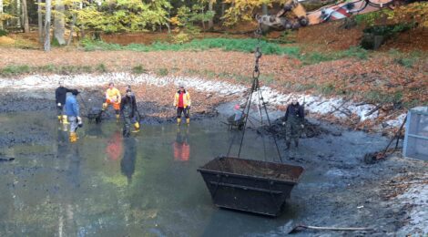 Foto: M. Aulitzky Mit der Teichentschlammung steht wieder ein größeres Volumen für Löschwasser zur Verfügung. Gleichzeitig verhindert die Nationalparkverwaltung damit, dass die Teiche langfristig verlanden und Lebensraum für Amphibien verloren geht. Nur teilweise konnte für die Arbeiten eine Absaugvorrichtung genutzt werden. Aufgrund des hohen Laubanteils musste eine Bad Schandauer Firma für Haus- und Dienstleistungen den Schlamm mit viel Handarbeit aus dem Teich schaufeln.