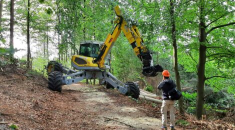 Eine gelbe Spezialmaschine fällt einen Baum