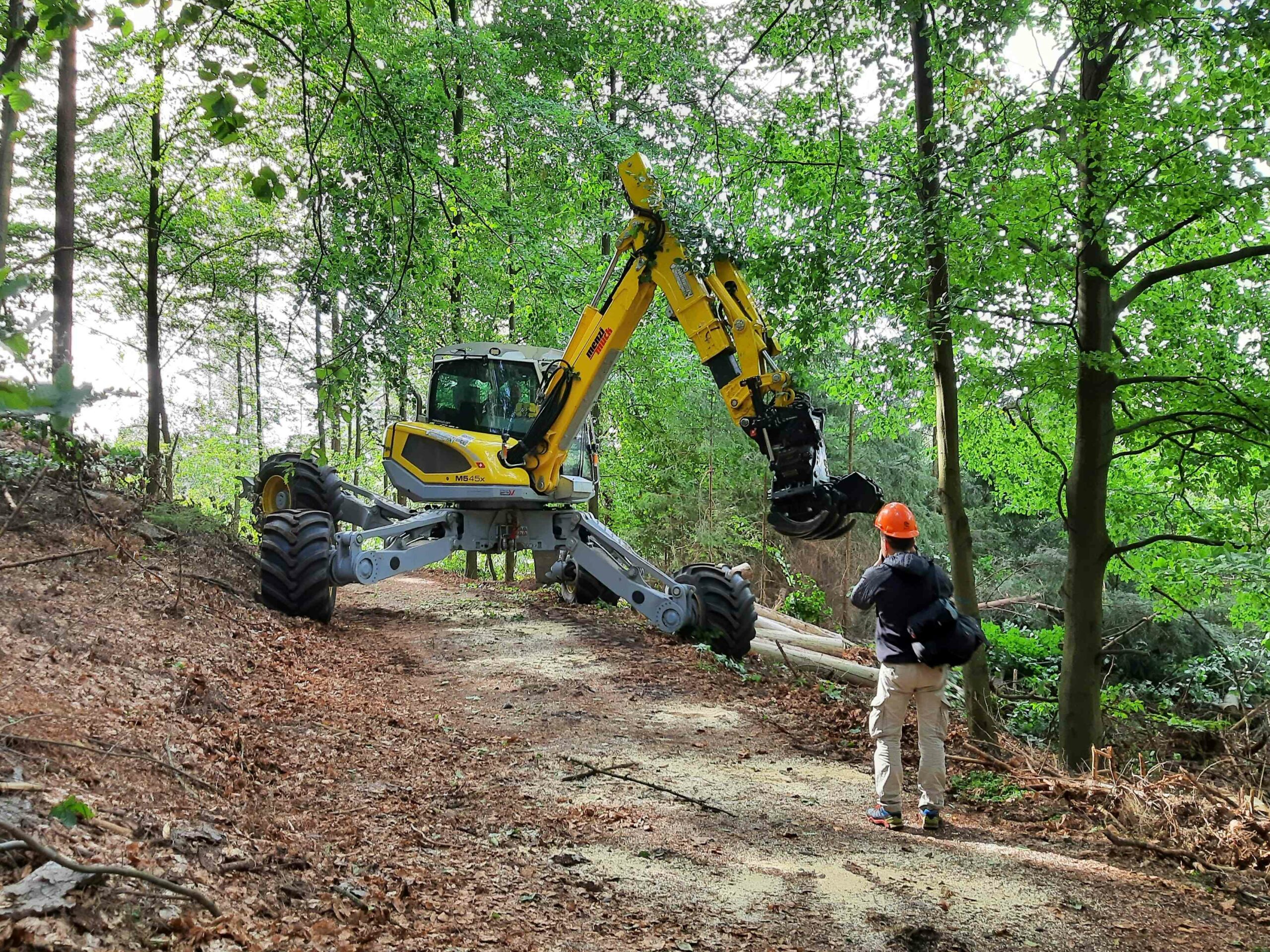 Eine gelbe Spezialmaschine fällt einen Baum