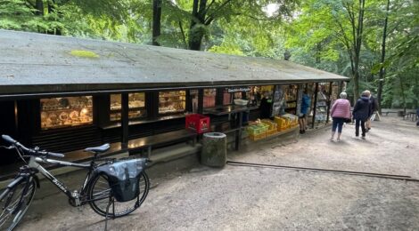 Foto: U. Borrmeister So kennen viele den beliebten Kiosk am Basteiparkplatz. Die Nationalparkverwaltung hat gemeinsam mit vielen Institutionen und Partnern in der Region einen Aktionsplan abgestimmt, mit dem zumindest der Erhalt des beliebten und bekannten Gebäudes möglich ist und für Besucher zugänglich bleibt.