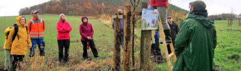 Fotos: Archiv Nationalpark- und Forstverwaltung (NLPFV): Bei einem FÖJ-Jahr in der Nationalpark- und Forstverwaltung Sächsische Schweiz steht der Schutz einer herausragenden Natur und Landschaft in der Nationalparkregion Sächsische Schweiz im Zentrum der Aktivitäten.