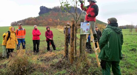 Fotos: Archiv Nationalpark- und Forstverwaltung (NLPFV): Bei einem FÖJ-Jahr in der Nationalpark- und Forstverwaltung Sächsische Schweiz steht der Schutz einer herausragenden Natur und Landschaft in der Nationalparkregion Sächsische Schweiz im Zentrum der Aktivitäten.