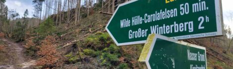 Wanderweg Eulentilke im Nationalpark wieder passierbar