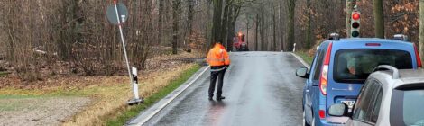 Foto: Hp. Mayr Autofahrer müssen derzeit immer wieder längere Zeit an der Ampel warten, auch wenn vordergründig in manchen Fällen kein Hindernis erkennbar ist. Wenn die Bäume nach dem Absägen im Fallen sind, können sie nicht mehr zum Schutz von PKW- oder Radfahrenden aufgehalten oder umgelenkt werden. Schwere Schäden und Verletzungen könnten die Folge sein. Zwei Waldarbeiter stehen an den Ampeln und sorgen für möglichst kurze Wartezeiten.“