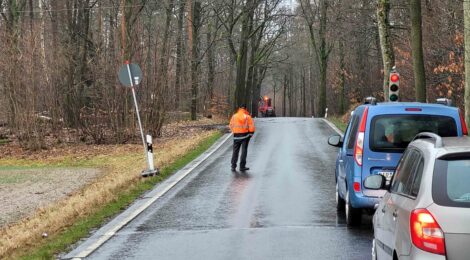 Foto: Hp. Mayr Autofahrer müssen derzeit immer wieder längere Zeit an der Ampel warten, auch wenn vordergründig in manchen Fällen kein Hindernis erkennbar ist. Wenn die Bäume nach dem Absägen im Fallen sind, können sie nicht mehr zum Schutz von PKW- oder Radfahrenden aufgehalten oder umgelenkt werden. Schwere Schäden und Verletzungen könnten die Folge sein. Zwei Waldarbeiter stehen an den Ampeln und sorgen für möglichst kurze Wartezeiten.“