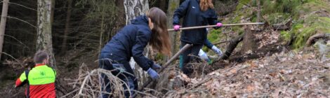 Foto: T. Hortsch Dank des Arbeitseinsatzes zum Schutz des Feuersalamanders von Schülern der Nationalparkschule OS Königstein im Revier Reinhardtsdorf, war vor einigen Tagen sehr schnell deutlich, die Feuersalamander sind wieder aktiv. Bei der Fundmeldeaktion „Feuersalamander, wo bist du?“ können alle mitmachen. Es gilt leider auch in der Nationalparkregion Sächsische Schweiz als „stark gefährdet“ (Rote Liste). 