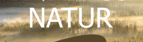 Im Rahmen der Medienpartnerschaft von Draussenzeit mit Sandsteinblogger und Nationalpark- und Forstverwaltung startet ab 27.03. eine Reportagereihe über die stillen Bewohner und heimlichen Wunder der heimischen Natur, die dazu beitragen soll, Wissen über die Arten und Biotope zu vermitteln und Verständnis für diese einzigartige und schützenswerte Landschaft zu wecken.