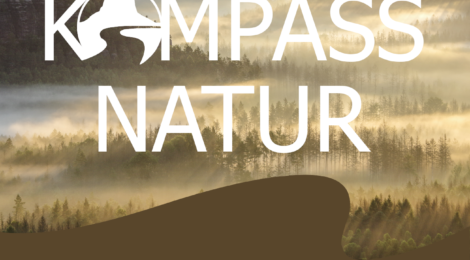 Im Rahmen der Medienpartnerschaft von Draussenzeit mit Sandsteinblogger und Nationalpark- und Forstverwaltung startet ab 27.03. eine Reportagereihe über die stillen Bewohner und heimlichen Wunder der heimischen Natur, die dazu beitragen soll, Wissen über die Arten und Biotope zu vermitteln und Verständnis für diese einzigartige und schützenswerte Landschaft zu wecken.