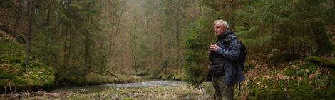 BU: Im Polenztal wird´s lebendig. In der Natur beginnt ein Wettstreit um die besten Brut- und Futterplätze. Und die Wasseramsel ist dabei manch anderem Sandsteinbewohner eine Schnabellänge voraus.