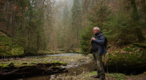 BU: Im Polenztal wird´s lebendig. In der Natur beginnt ein Wettstreit um die besten Brut- und Futterplätze. Und die Wasseramsel ist dabei manch anderem Sandsteinbewohner eine Schnabellänge voraus.