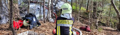 Foto 3 Hp. Mayr Kameradinnen und Kameraden der Hohnsteiner Feuerwehr bekämpften die großflächig in Brand geratene Kuppe des Felsriffs in der Kernzone bei Waitzdorf. Das weiße Netzmittel im Löschwasser erleichtert das Eindringen des Wassers in tiefere Schichten der Nadelstreu. Am heutigen 03.04. gegen 12:30 Uhr konnte das Löschen des Waldbrandes gemeldet werden.