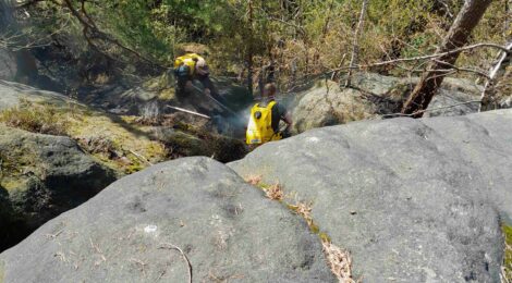 Foto: C. Tscheuschner Noch am Donnerstag, den 04.04. mussten Mitarbeiter der Nationalparkwacht im steilen Felsgelände mit Löschrucksäcken wieder erstarkte Glutnester in Felsspalten bekämpfen. Die Kontrollen im Zuge der erneuten Rauchentwicklung an der Brandstelle vom 02.04. bei bei Waitzdorf werden fortgesetzt.