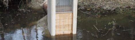 Foto: R. Goldberg Das Kochemoor ist eines der wenigen Moore im Elbsandsteingebirge. Hier ist die Vegetationsentwicklung der vergangenen 4000 Jahre in Form von Pollen in den Torfen archiviert. Unter Regie der Nationalpark- und Forstverwaltung von Sachsenforst und dank der Unterstützung des Vereins der „Freunde des Nationalparks Sächsische Schweiz“ ist der erforderliche hohe Wasserstand durch eine neue Vorrichtung wieder langfristig gesichert.