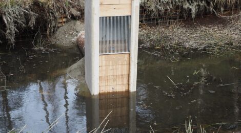 Foto: R. Goldberg Das Kochemoor ist eines der wenigen Moore im Elbsandsteingebirge. Hier ist die Vegetationsentwicklung der vergangenen 4000 Jahre in Form von Pollen in den Torfen archiviert. Unter Regie der Nationalpark- und Forstverwaltung von Sachsenforst und dank der Unterstützung des Vereins der „Freunde des Nationalparks Sächsische Schweiz“ ist der erforderliche hohe Wasserstand durch eine neue Vorrichtung wieder langfristig gesichert.