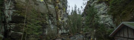 Schwefelflechte Obere Schleuse