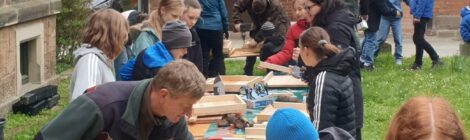 38 Hähertische für die natürliche Wiederbewaldung einsatzbereit