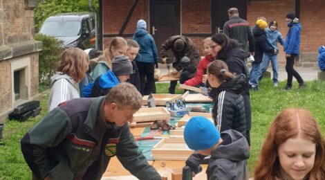 38 Hähertische für die natürliche Wiederbewaldung einsatzbereit