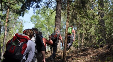 DSC_1037 (Anne Borrmeister)