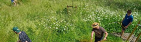 Bildunterschrift: Foto: D. Ackermann Motorbetriebene Mähgeräte haben die Sense in Mitteleuropa fast verdrängt. Gleichwohl entdecken immer mehr Menschen die Sense als altbewährtes wie effizientes Mähwerkzeug für sich neu.