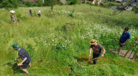 Bildunterschrift: Foto: D. Ackermann Motorbetriebene Mähgeräte haben die Sense in Mitteleuropa fast verdrängt. Gleichwohl entdecken immer mehr Menschen die Sense als altbewährtes wie effizientes Mähwerkzeug für sich neu.