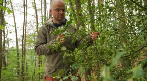 41 24 Ronny_Goldberg_mit_Stechpalme_©HartmutLandgraf