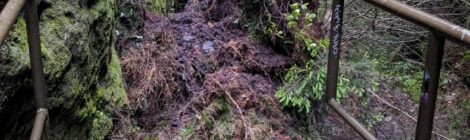 Foto: W. Woicik Eine lokale Unwetterzelle hatte vergangenen Sonntag oberhalb der Schwedenlöcher Erdmassen von Felsköpfen rutschen lassen und auch einzelne Bäume zum Absturz gebracht. In der Folge war der beliebte Wanderweg schon kurz nach den jüngsten Sanierungsarbeiten erneut blockiert. Dank des schnellen Einsatzes der Mitarbeiter der Nationalpark- und Forstverwaltung vom Sachsenforst konnte der Weg bis zum heutigen Montagmittag wieder frei geräumt werden.
