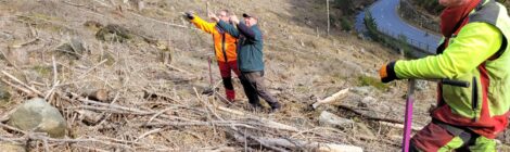 Foto 2: Hp. Mayr Besondere Schwerpunkte der Pflanzungen außerhalb des Nationalparks sind ehemalige Fichtenwaldflächen, die vom Borkenkäferbefall betroffen waren. Olaf Spengler (M.) ist Leiter des Reviers Reinhardtsdorf. Um die Borkenkäferflächen an den nährstoffarmen Hängen der Koppelsberge (oberhalb Krippenbachtal) wieder aufforsten zu können, stand ihm eine besondere Eichenart aus slowakischer Herkunft zur Verfügung. Sie ist eng verwandt mit den hiesigen Eichen, doch rechnen Experten damit, dass sie besser mit zu erwartenden Trockenperioden zurechtkommt. Hier stimmt er mit Gunther Puckler und Michael Kranz von der Firma Forstdienstleistungen Jens Puckler die genauen Bereiche des steinigen Hangs ab, wo er die besten Wuchsbedingungen für die sorgfältig angezogenen jungen Eichen erwartet.