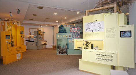 Im NationalparkZentrum in Bad Schandau beleuchten Fragen zum Nachdenken und Mitmachen das Verhältnis von Mensch und Natur. Die Sonderausstellung „4 x so geht Nationalpark“ ist auch in den Sommerferien für Anwohner und Gäste kostenfrei zugänglich. Foto: A. Kurby