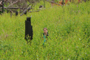 Auf der Brandfläche von 2022: Dr. Annika Busse, Forschungsreferentin in der Nationalpark- und Forstverwaltung Sächsische Schweiz ©HartmutLandgraf
