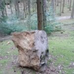 Foto: F. Thiele Dank der Meldung einer Wegewartin können die Felsbrocken unkompliziert in eine ungefährliche Position gebracht und damit potentielle Risiken für Waldbesucher beseitigt werden.