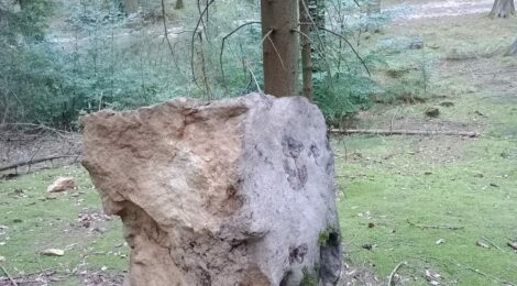 Foto: F. Thiele Dank der Meldung einer Wegewartin können die Felsbrocken unkompliziert in eine ungefährliche Position gebracht und damit potentielle Risiken für Waldbesucher beseitigt werden.