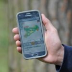Mit der Waldbrand-App „Waldbrandgefahr Sachsen“ erhalten Sie alle Informationen zur aktuellen Waldbrandgefahr und dem richtigen Verhalten im Wald schnell, unkompliziert und kostenlos. Foto: Archiv Sachsenforst