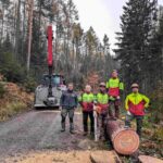 Revierleiter Olav Spengler und Forstwirte der Nationalpark- und Forstverwaltung von Sachsenforst haben eine Lärche für die Submission ausgewählt und so gefällt und aufbereitet, dass sie ohne Risse oder sonstige Schäden zum Verkauf angeboten werden konnte. Der 7 m lange und 44 cm starke Stamm erzielt einen Preis von ca. 716 €. Eine niederländische Firma hat den Stamm gekauft und wird daraus begehrtes Furnier herstellen. Foto: K. Zinnert