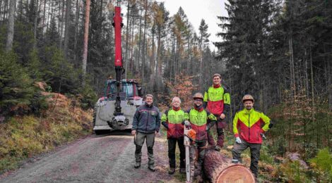 Revierleiter Olav Spengler und Forstwirte der Nationalpark- und Forstverwaltung von Sachsenforst haben eine Lärche für die Submission ausgewählt und so gefällt und aufbereitet, dass sie ohne Risse oder sonstige Schäden zum Verkauf angeboten werden konnte. Der 7 m lange und 44 cm starke Stamm erzielt einen Preis von ca. 716 €. Eine niederländische Firma hat den Stamm gekauft und wird daraus begehrtes Furnier herstellen. Foto: K. Zinnert